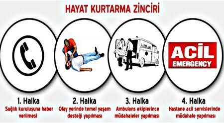 Kampçı Sağlığı: Kamp Sırasında Sağlık Sorunları ve İlk Yardım Bilgileri