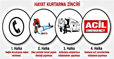 Kampçı Sağlığı: Kamp Sırasında Sağlık Sorunları ve İlk Yardım Bilgileri